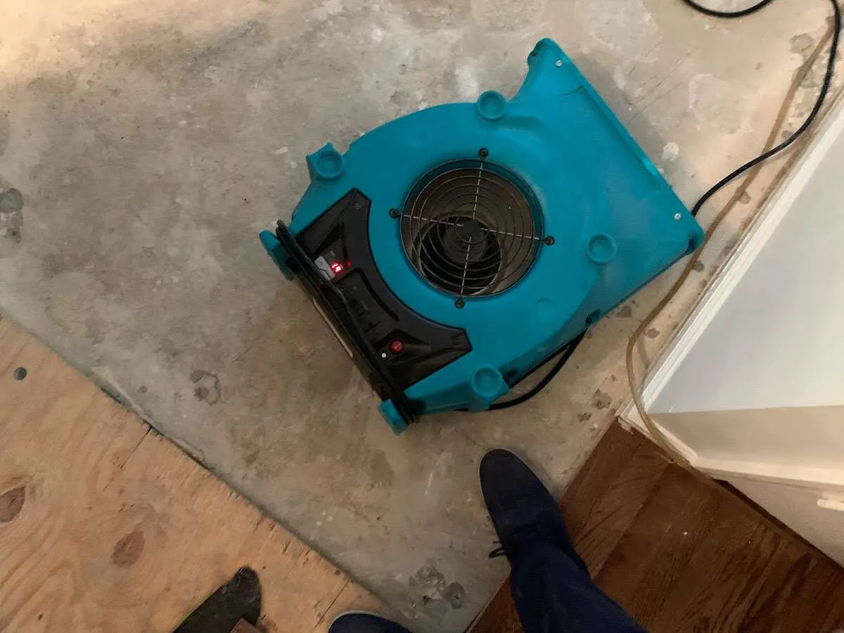 Air mover drying subfloor during Commercial Water Damage Restoration in Alice